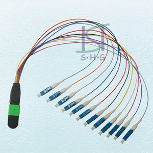 MPO Fiber Optic Patch Cord